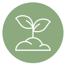 Sprouting Plant Icon, Green Pastel